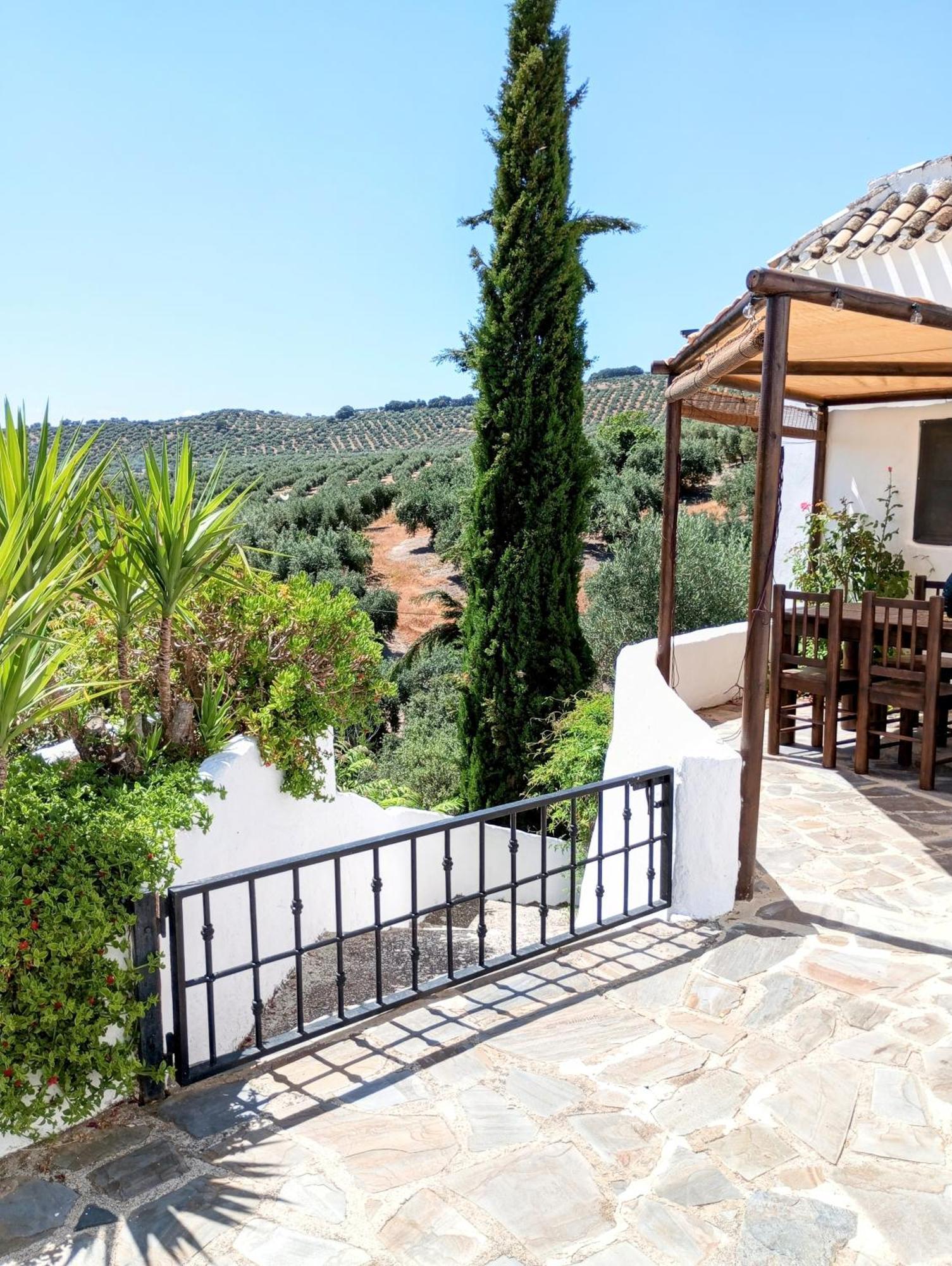 グラナダ Casa Miguel Montefrioヴィラ エクステリア 写真