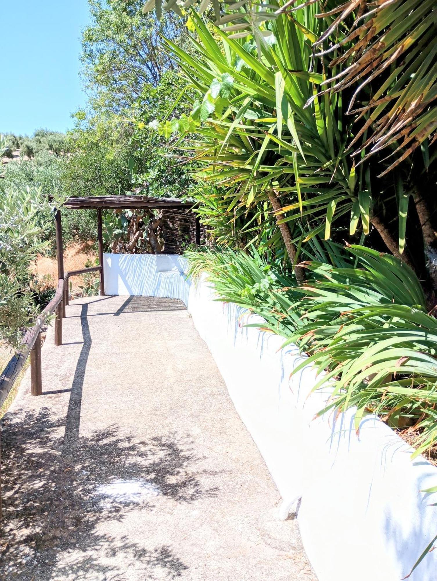 グラナダ Casa Miguel Montefrioヴィラ エクステリア 写真